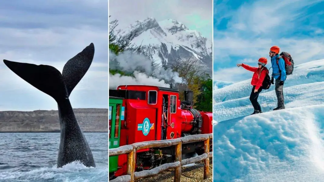 Peninsula Valdes, Calafate & Ushuaia