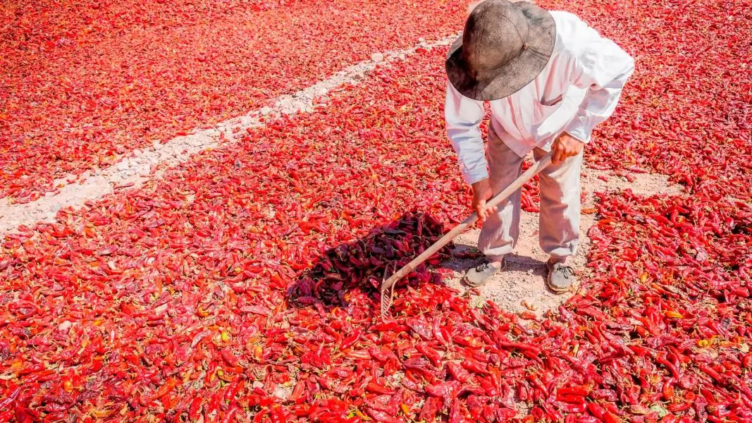 Salta, Cachi & Cafayate
